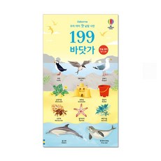토피카북스 우리 아이 첫 낱말 사전 199 바닷가, 단품