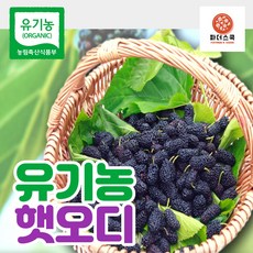유오디아