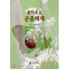 곤충의세계