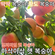 도원결의15도맛