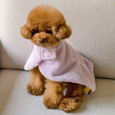 솔티핫티