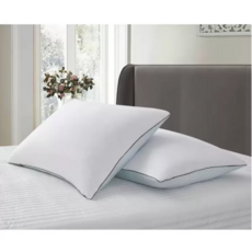 태평양물산프라우덴구스