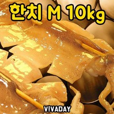 명엽채 쥐어채 가문어 밥반찬 저녁 DHD 오징어채 한치 M 10kg !Lzus, 1개, ※-본 상품 선택하기-※