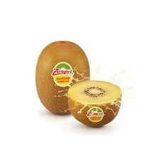 양구두레박수박