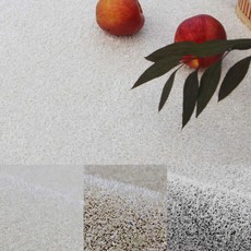 레시앙뜨플럼워셔블