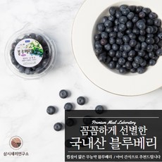 삼시세끼연구소 햇 블루베리 국산 생블루베리 생과 냉동블루베리 세척 무농약 1kg 500g 300g, 1. 생블루베리 300g