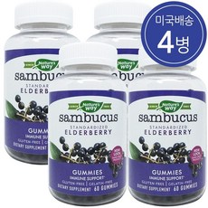 Natures Way 네이쳐스 웨이 얼더베리 삼부커스 60구미 4병, 60정