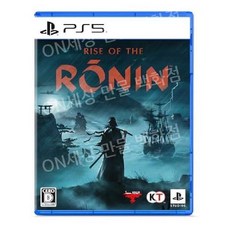 라이즈 오브 더 로닌 Rise of the Ronin D버전 플스5 PS5 게임 타이틀 일본 발매