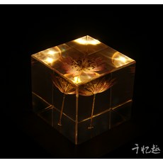 민들레 표본 유리구슬 단델리온 문진 크리스탈볼, 5 * 5 별 셀러리 사각 나무 상자