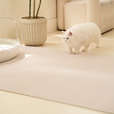 냥쌤 캐치매트 고양이 모래 사막화 방지 매트 화장실 패드, 롱타입, 2개