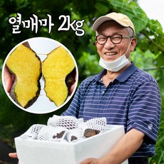 해원농장 열매마 하늘마 하늘열매마 1키로 5키로 마 판매 가격 씨앗 열매, 일반종자용, 2kg