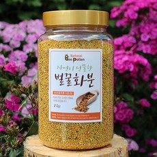[2022년]지리산바래봉 벌화분  국내산 비폴렌