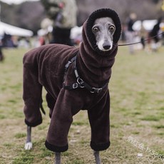 몽클레어강아지