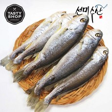 속초중앙시장반건조생선