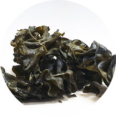 모자반
