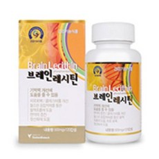 브레인레시틴 난황 레시틴 두뇌영양제 500mg 120캡슐(기억력개선 면역력증진 집중력개선), 120정, 1개, 120캡슐