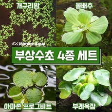 물위에서타는시소