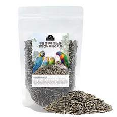 구딘 앵무새&햄스터 영양간식 해바라기씨 300g, 1개