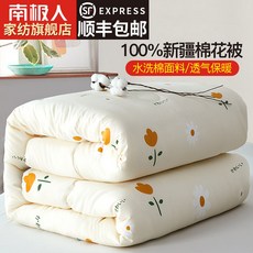 목화솜요퀸