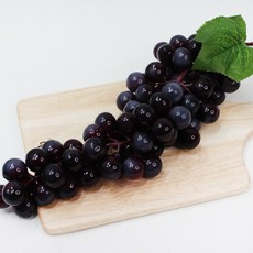 포도모형