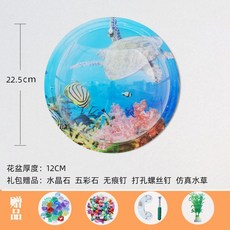 벽걸이수경재배