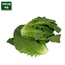 통로메인