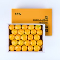 린디 GAP AI 당도선별 제주감귤 조생 노지 감귤 3KG 5KG 10KG, 1개, 노지감귤, 중량=3kg(중대과L~2L)