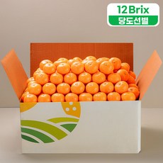 프루미츠 중문농협 당도선별 타이벡 감귤 9kg 선물세트 (당도 12brix 이상), 1box