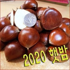 20년 햇밤 햇대추 제수용 왕특대만 선별 어떤 약품처리도 하지않았어요, 건대추) 열과 (특대사이즈) 500g