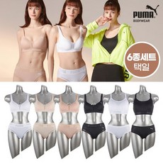 푸마얼티밋핏