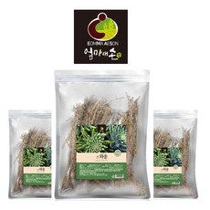 말린 건조 건 와송 100g x 3팩 바위솔 기와솔 먹는 와송차 [JS], 3개