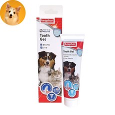 고양이치은염약