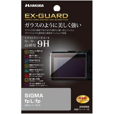 시그마fp보호필름
