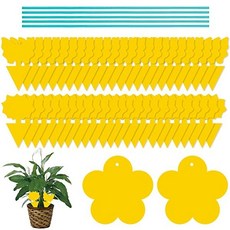Fruit fly trap yellow sticky fly traps fly traps sticky insect plate double-sided tape for pott