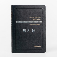 비치용 큰글씨성경전서 NKR73THU 중합본 개역개정 새찬송가 무지퍼 브라운