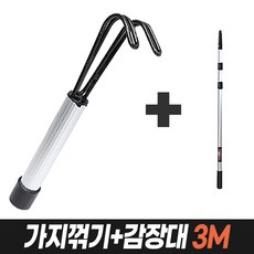 감나무장대