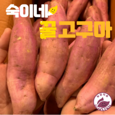 숙이네 재구매율100% 산지직송 한입 호박 꿀 고구마, 1박스, 1kg