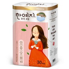 한예지비데티슈