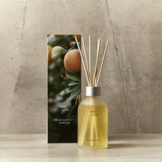 모던하우스방향제