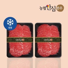 [농협안심한우] 1+등급 한우 육전 600g (300gX2팩)