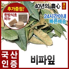 자애인 국산 비파잎 600g 비파엽 비파잎차 전남여수, 1개