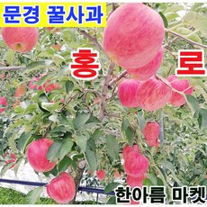 문경감홍