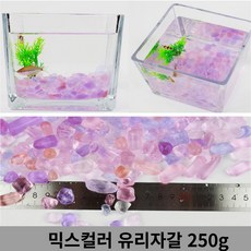폴레드고잉