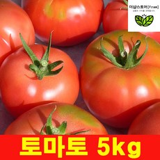//상품명
