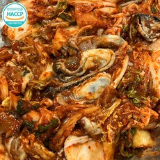 HACCP 전라도 생굴 겉절이 (국내산 고춧가루 사용), 1개, 1kg