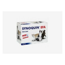 사이노퀸고양이