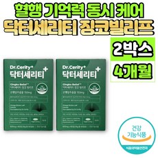 은행 잎 추출물 정 징코 GINKGO BILOBA Ginko 은행엽 은행나무 플라보놀배당체 혈행 개선 도움 영양제 아연 비타민 E B6 비오틴 엽산, 2개, 60정