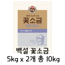 CJ제일제당 백설 꽃소금 5kg x2개, 단품/단품, 2개