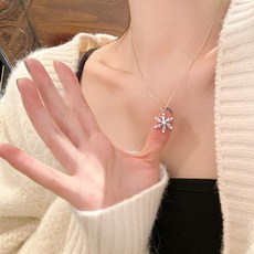 실버스노우클래스