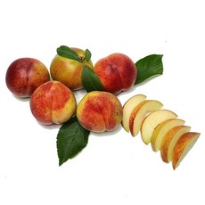 대극천-추천-상품